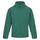 #colour_bottle-green