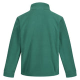 #colour_bottle-green