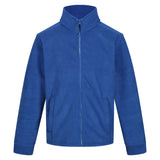 #colour_royal-blue