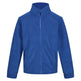 #colour_royal-blue