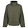 #colour_dark-khaki-black
