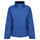 #colour_royal-blue-navy