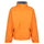 #colour_sun-orange-seal-grey