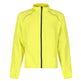 #colour_neon-spring-black